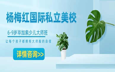 成都大悅城楊梅紅6-9歲畢加索少兒班