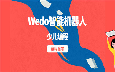 廣州沙園童程童美Wedo機(jī)器人編程