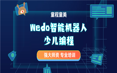 广州番禺洛溪童程童美Wedo机器人编程