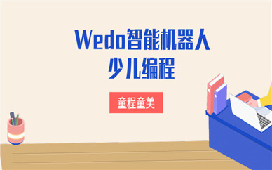 温州新城童程童美Wedo机器人编程