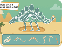 新通雅思老师徐祺