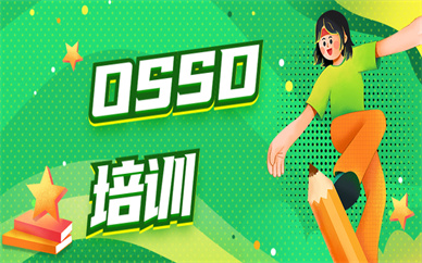 濟南市中朗閣OSSD培訓(xùn)