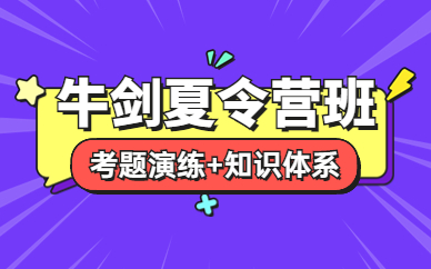 南京牛劍夏令營課程