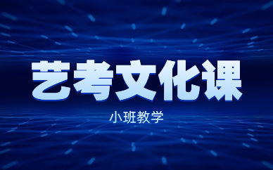 青島藝考文化課面授班