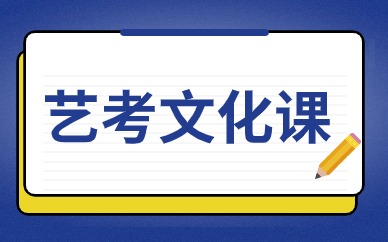 北京西城艺考文化课补习班