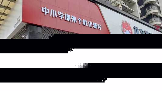 龙文教育机构简介