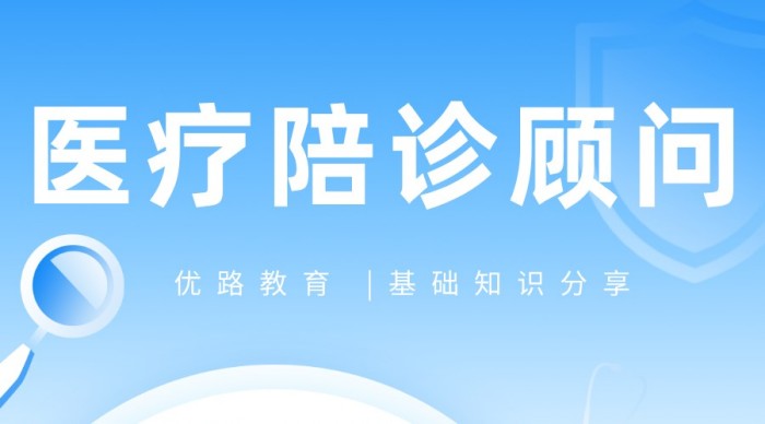 陪诊师能为患者提供哪些具体服务？