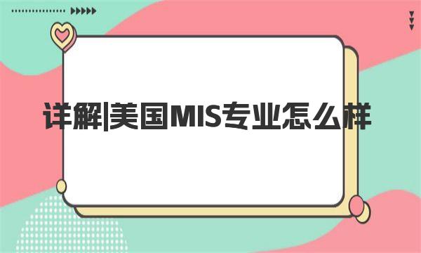 详解|美国MIS专业怎么样|MIS就业介绍