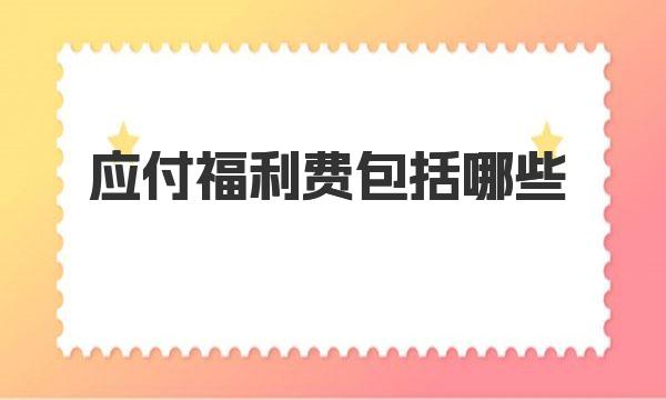 應付福利費包括哪些（應付福利費說明）