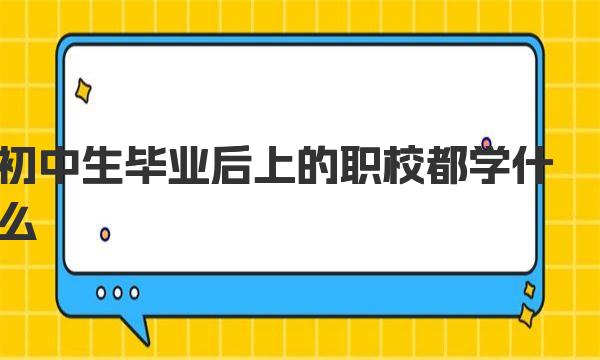 初中生毕业后上的职校都学什么