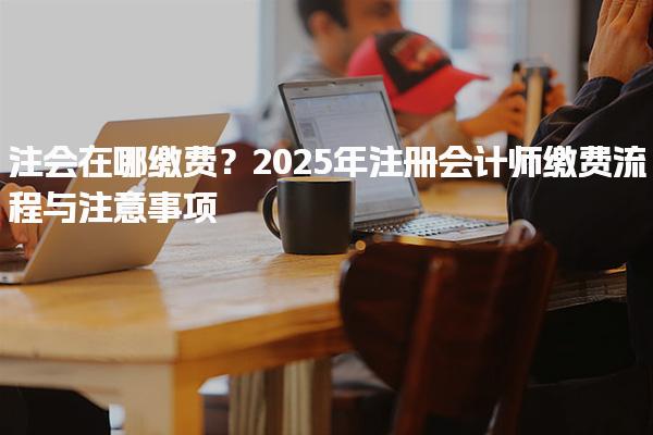 注會在哪繳費？2025年注冊會計師繳費流程與注意事項