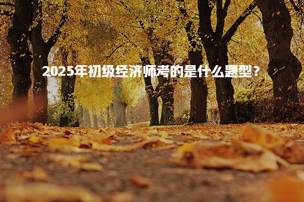2025年初級經(jīng)濟(jì)師考的是什么題型解析考試內(nèi)容