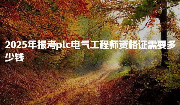 2025年報(bào)考plc電氣工程師資格證需要多少錢(qián)