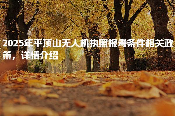 2025年平顶山无人机执照报考条件相关政策介绍