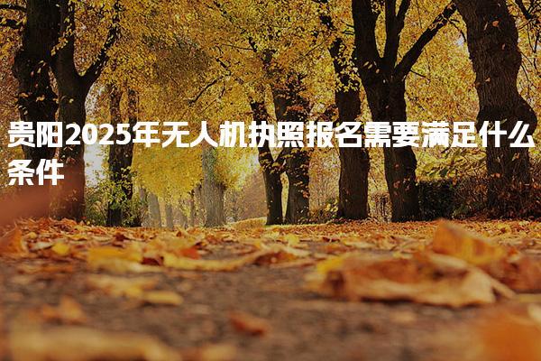 貴陽2025年無人機(jī)執(zhí)照報名需要滿足什么條件