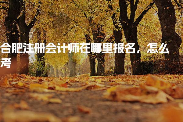 合肥注冊會(huì)計(jì)師在哪里報(bào)名 考試安排與科目