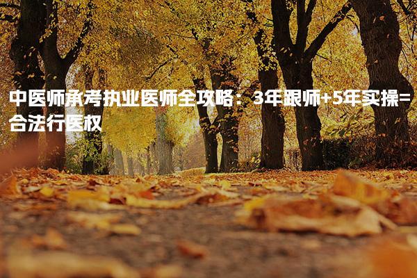 中醫(yī)師承考執(zhí)業(yè)醫(yī)師全攻略：3年跟師+5年實(shí)操=合法行醫(yī)權(quán)！