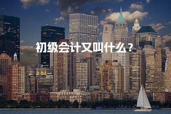 初級(jí)會(huì)計(jì)又叫什么？助理會(huì)計(jì)師的全面解析與職稱介紹