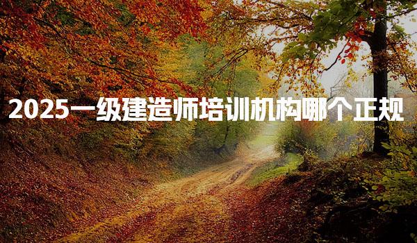2025一級(jí)建造師培訓(xùn)機(jī)構(gòu)哪個(gè)及五大正規(guī)網(wǎng)校推薦