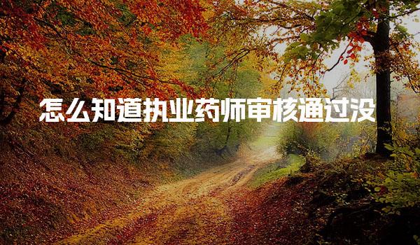 怎么知道执业药师审核通过没 注意事项