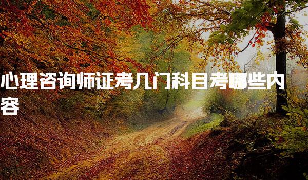 心理咨询师证考几门科目 考试要求与评分标准