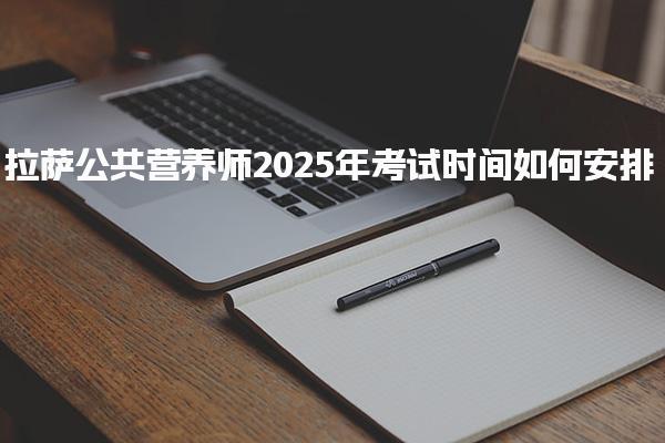 拉萨公共营养师2025年考试时间如何安排