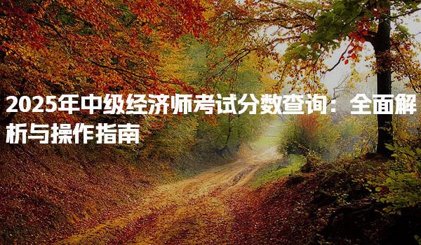 2025年中级经济师考试分数查询：全面解析与操作指南