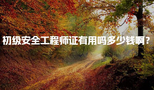初级安全工程师证有用吗多少钱啊？薪资与发展趋势解析