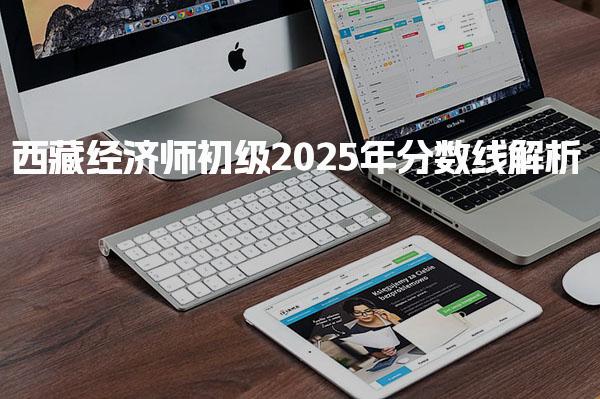 西藏經濟師初級2025年分數線解析與考試信息