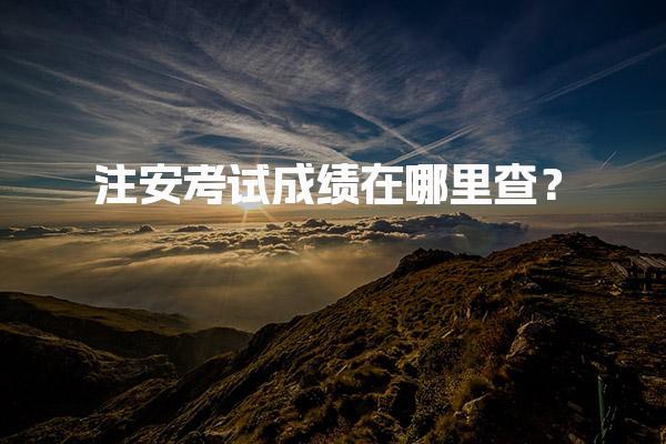 2025年注安考试成绩在哪里查？成绩查询时间及方法详解