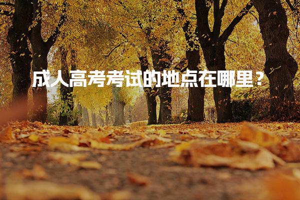 成人高考考试的地点在哪里？考试地点的确定原则