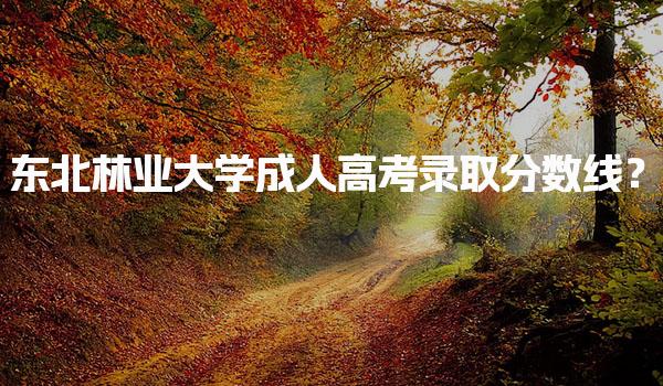 东北林业大学成人高考录取分数线？录取规则与补录机制