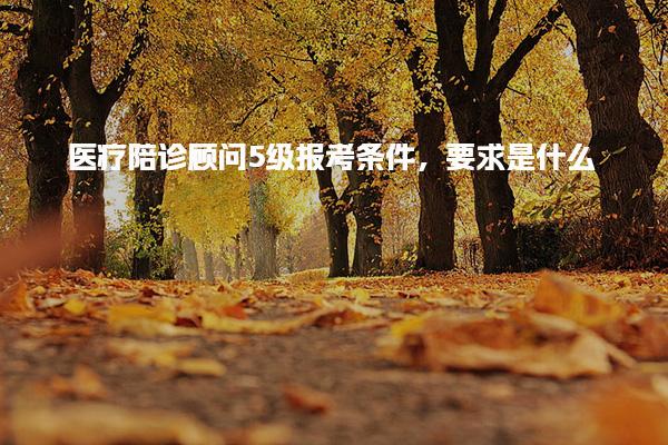 医疗陪诊顾问5级报考条件，要求是什么培训与考试流程