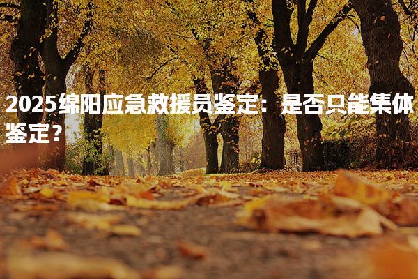 2025绵阳应急救援员鉴定：是否只能集体鉴定？