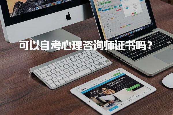可以自考心理咨询师证书吗？全面解析报考途径与要求