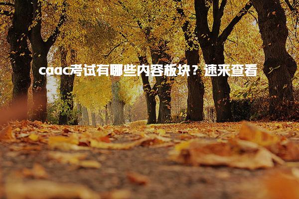 caac考试有哪些内容板块？caac考试内容板块