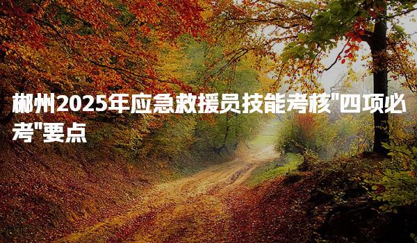 郴州2025年应急救援员技能考核“四项必考”要点