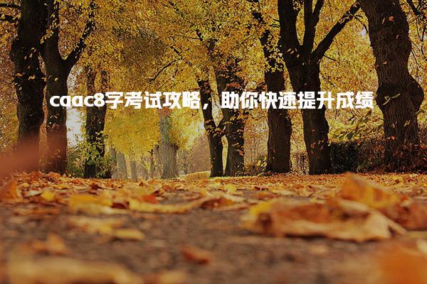 caac8字考试攻略考试内容，助你快速提升成绩