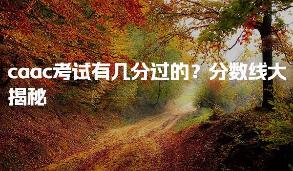 caac考试有几分过的？分数线大揭秘