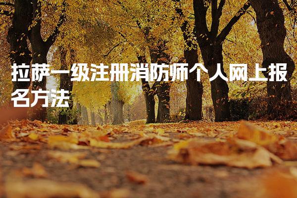 拉萨一级注册消防师个人网上报名方法 报考资格条件