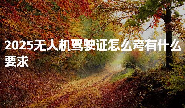 2025无人机驾驶证怎么考，有什么要求