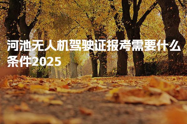 2026河池无人机驾驶证报考需要什么条件 培训与考试要求