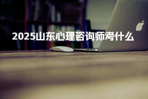 2026山东心理咨询师考什么 考试科目与结构介绍