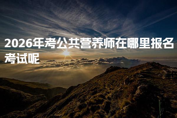 2026年考公共营养师在哪里报名考试呢？公共营养师报名流程详解