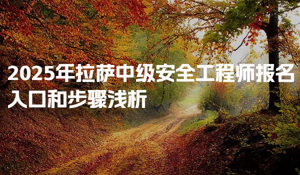 2025年拉萨中级安全工程师报名入口和步骤浅析