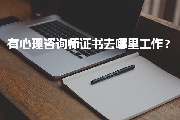 有心理咨询师证书去哪里工作？探索多样化就业方向