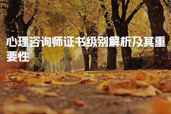 心理咨询师证书级别解析及证书的价值与意义
