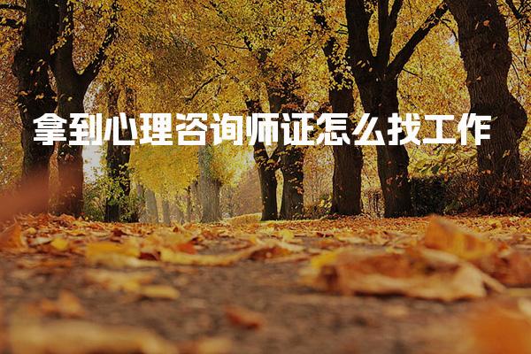 2026许昌心理咨询师考试难度剖析 备考重点划重点