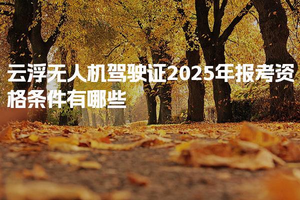 云浮无人机驾驶证2026年报考资格条件有哪些