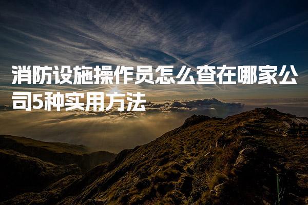 消防设施操作员怎么查在哪家公司5种实用方法